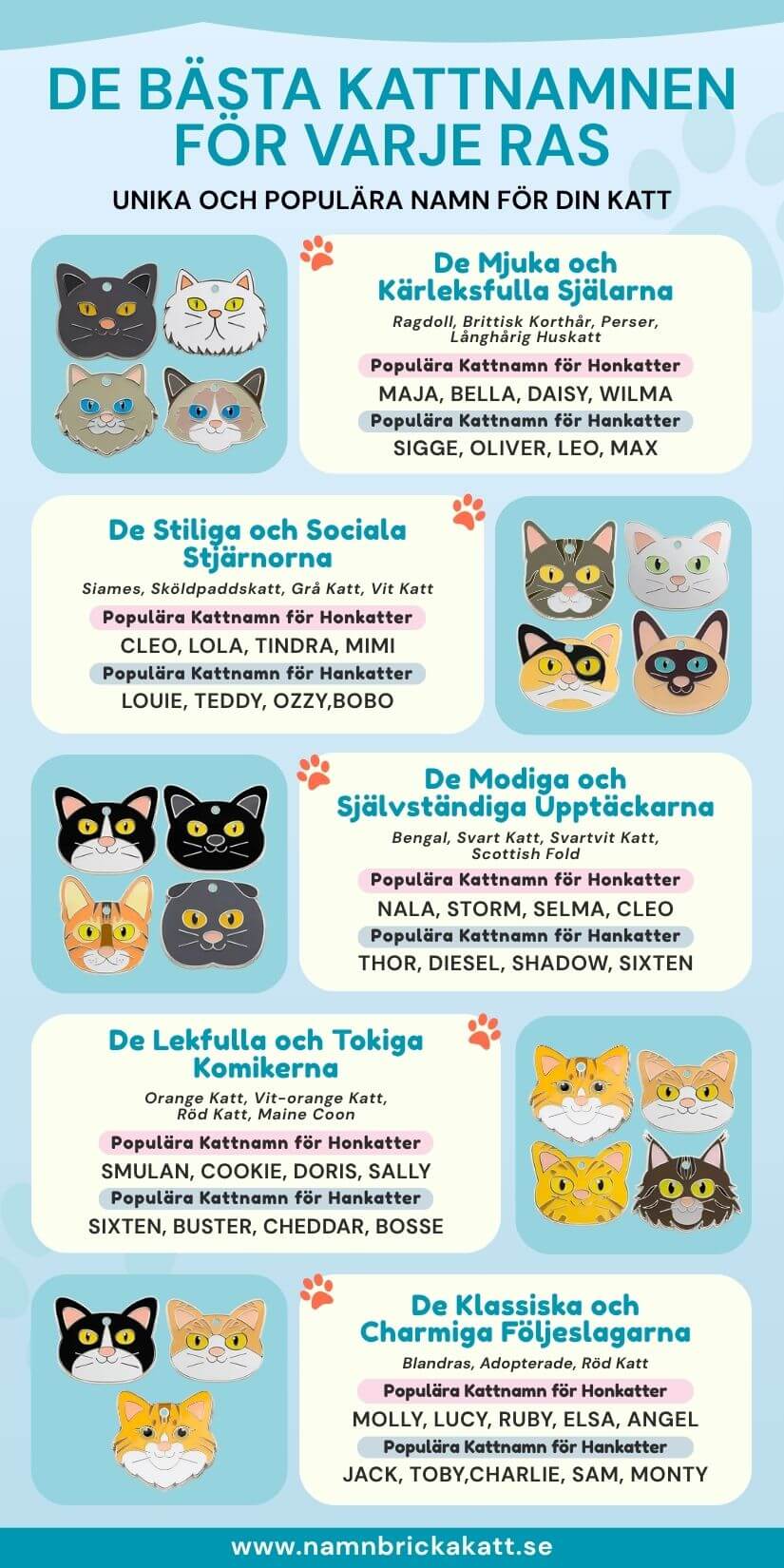 Namnidéer för kattungar efter ras och personlighet med namnbrickor för han- och honkatter